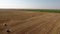 Drone view over fields, autumn time