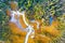 A drone view of the river in the woods. An aerial view of an autumn forest. Winding river among the trees.