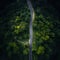 Drone view of a road in the middle of a forest