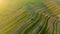 Drone view of roads through fields in Suloszowa village in Krakow County, Poland