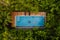 drone view of a swimming pool in the jungle , couple men and women in a pool in the rainforest