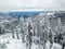 Drone view on trees covered with snow in Styria, Austria