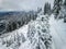 Drone view on trees covered with snow in Styria, Austria