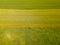 Drone view ultra wide angle down on green young wheat and rape seed in summer