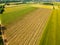 Drone view ultra wide angle down on vineyard in southern Vienna