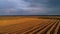 Drone view of wheat field
