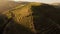 Drone view of the wine terraces in the Douro Valley