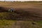 Drone view of working agricultural tractor in field during summer day