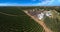 Drone view of the yard for drying freshly harvested coffee bean