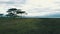 Drone view of zebras running in the wilderness under the cloudy sky