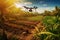 Drones in Agriculture