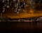 Drooping leaves in the foreground over a bay with the foreshore under an orange sky with contrails