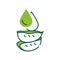 Drop of aloe color line icon. A fresh drop of aloe juice. Added to cosmetics for skincare. Pictogram for web page, mobile app,