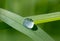 Drop of dew on blade of grass