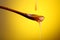 A drop of honey falls from the top onto a spoon with honey and honey flows from the spoon