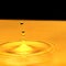 A drop of water falls in a golden water. macro