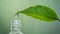 Droplet falling from a leaf into a bottle. Essence of herbal medicine. Light green background. Concept of holistic