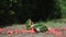 Dropped watermelon crashing to the ground