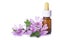 Dropper bottle with mallow malva extract