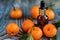 Dropper bottle of mandarin essential oil