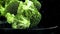 Dropping broccoli with splashing water. Filmed on a high-speed camera at 1000 fps.