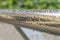 Drops on chrome shiny handrails after rain on a background of green foliage