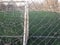 Drops of dew on a torn metal mesh of a football field