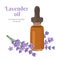 Drops of lavender oil in dark glass bottle with lilac lid Isolated on white background. Sprigs of blooming lavender.