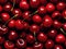 Drops of rain on a dark red cherry close-up. Cherry background. AI generated