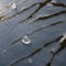 drops of water close up of ice on frozen pond clear