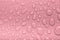 Drops of water on a color background. Pink. Shallow depth of fie