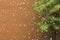 Drops on window, tree and wall background