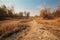 drought-affected area in the countryside, with dried stream and withered plants