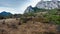 Drought Boundary. An oasis sheltered from the sun, the Steppe passes into the forest. In the background is a secluded