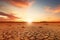 Drought climate and Global warming concept. Dry tree silhouette, dead tree trunk in an arid landscape at sunset