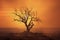 Drought climate and Global warming concept. Dry tree silhouette, dead tree trunk in an arid landscape at sunset