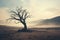 Drought climate and Global warming concept. Dry tree silhouette, dead tree trunk in an arid landscape at sunset