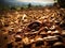 Drought in Coffee plantations. Coffee cost is expected to rise.