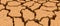 Drought desert texture. Brown background. Global warming. Cracked earth. Vector illustration