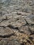 Drought earth cracked cracked dearth dry craked dust