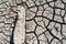 Drought, earth cracks, natural disaster