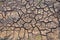 Drought land. Barren earth. Dry cracked earth background. Cracked mud pattern.