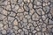 Drought land. Barren earth. Dry cracked earth background. Cracked mud pattern.