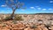 Drought landscape with one dry and dead tree and many dry tufts on a very cracked ground - AI Generated