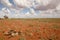 Drought - Outback Australia