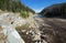 Drought stricken Eleanor Lake on Sylvan Pass on the highway to the east entrance of Yellowstone National Park in Wyoming