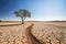 Drought-Stricken Farm: Barren Landscape with Lone Tree, Depicting Environmental Degradation and Climate Change