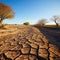 A drought-stricken field