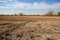 drought-stricken field with dried crops and cracked ground