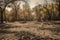 drought-stricken forest with dried out trees and parched ground